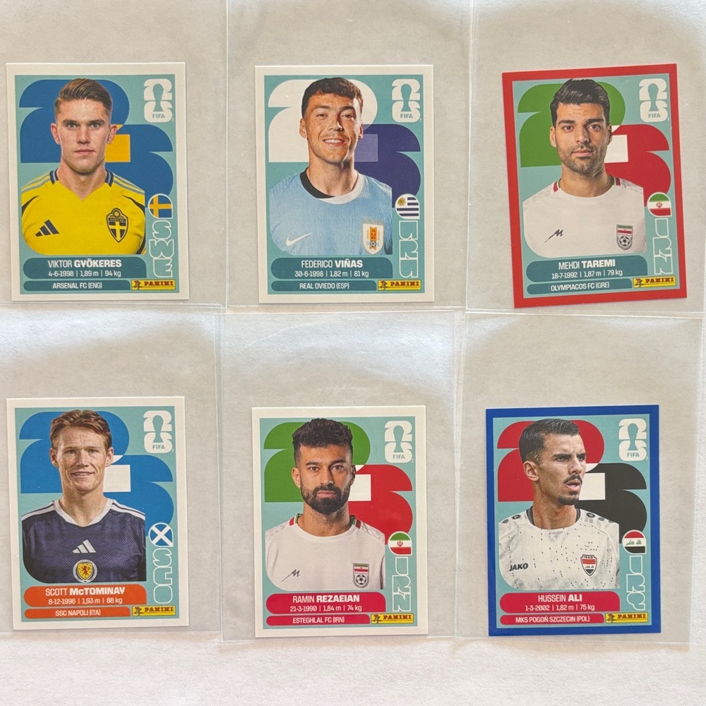 Panini 6 pack